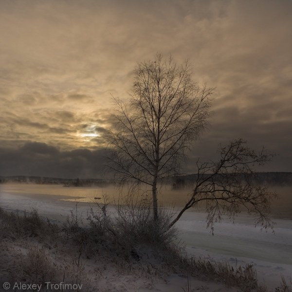 Меланхоличная природа