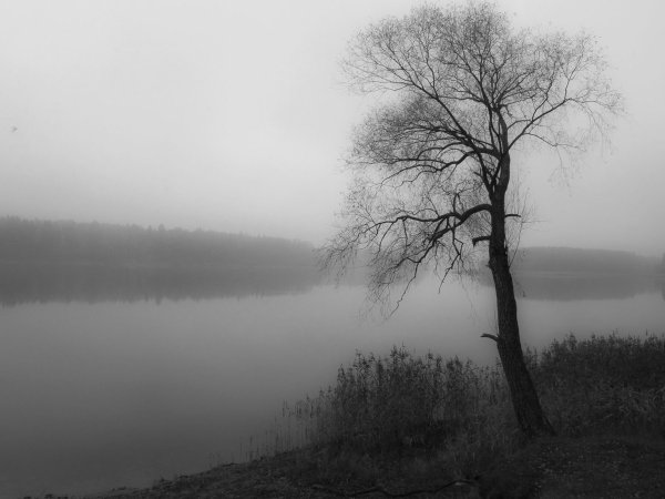 Меланхоличная природа