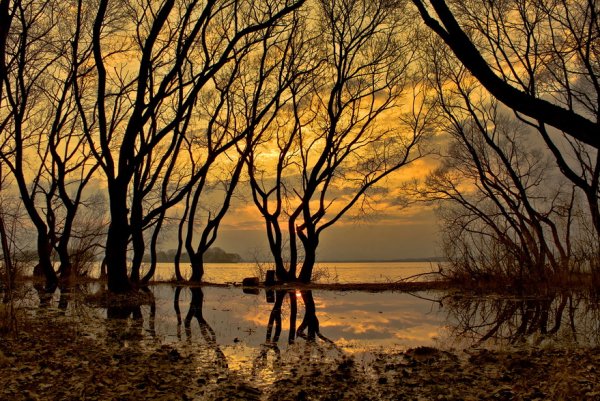 Меланхолия пейзаж