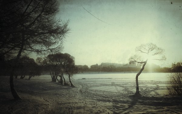 Меланхоличная природа