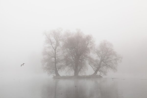 Меланхолия природа