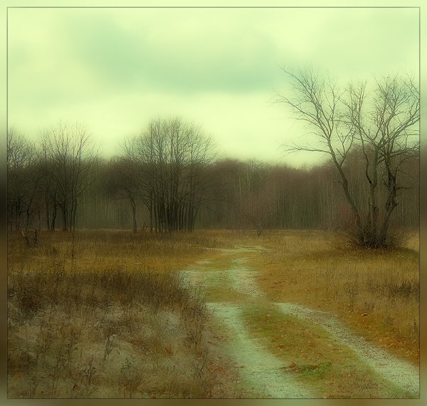 Меланхоличный осенний пейзаж