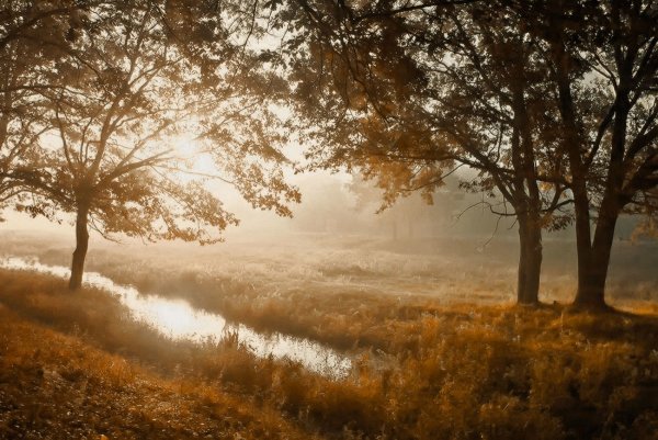 Меланхоличная осень