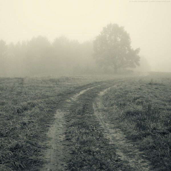 Меланхолия пейзаж