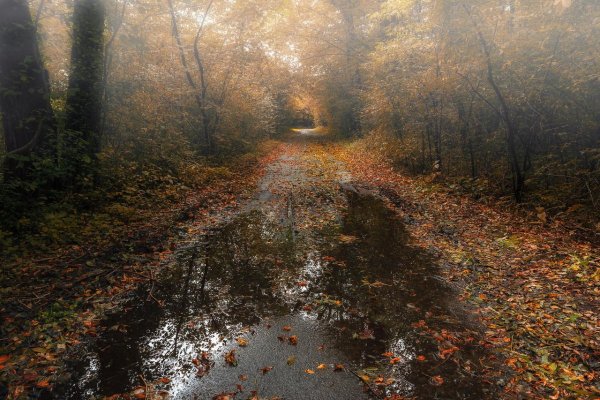 Осень Меланхолия