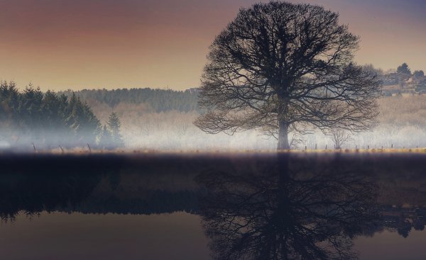 Меланхоличная природа