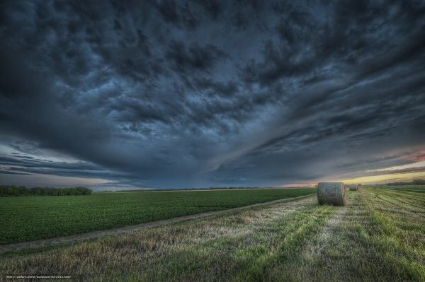 Меланхоличная природа