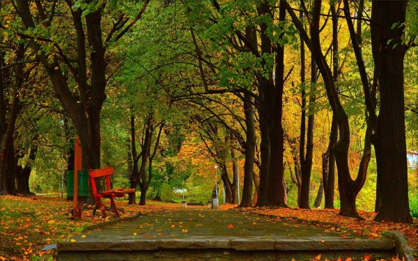 Парк осенью
