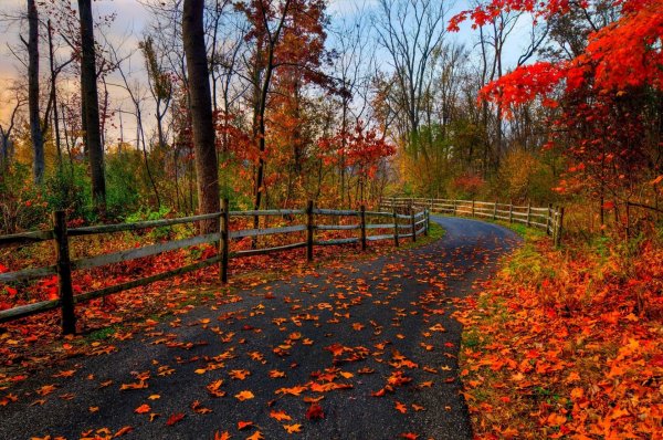 Осень в парке