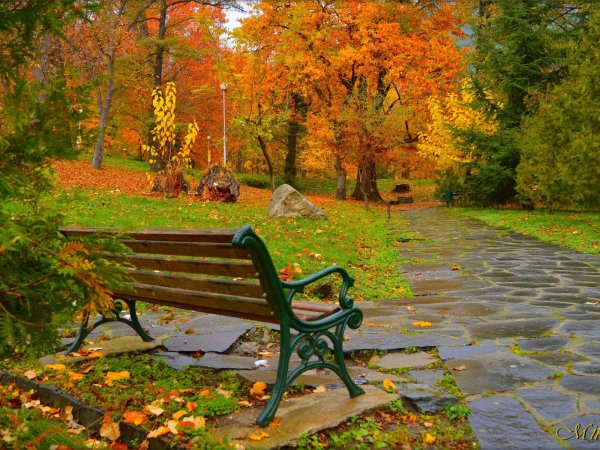 Осенний сквер