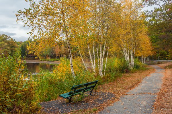 Санкт Петербург осень парк
