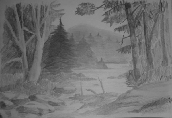 Пейзаж леса карандашом