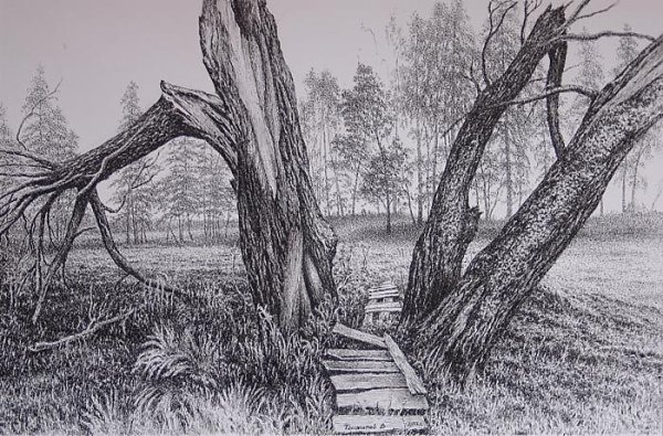 Пейзаж Графика карандаш