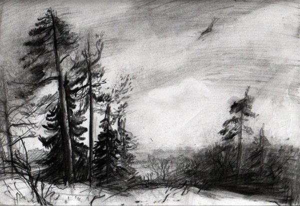 Лес карандашом