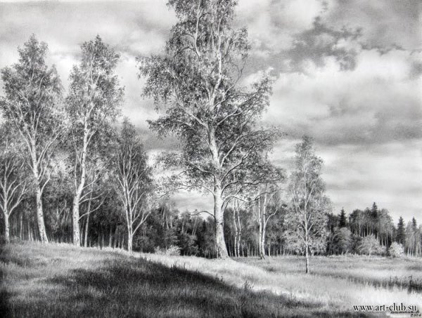 Толстиков Виталий художник карандаш