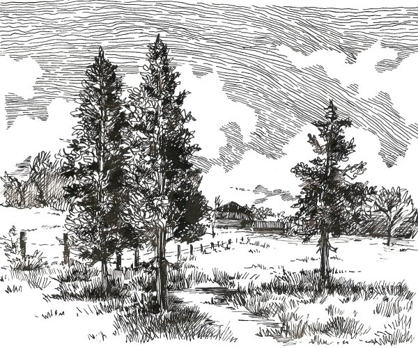 Пейзаж Графика