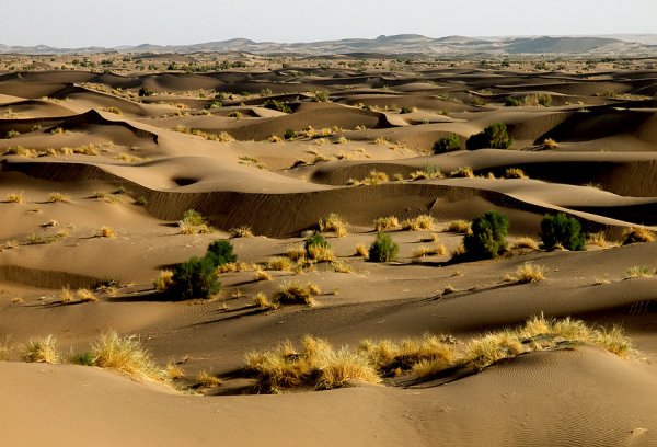 Рельеф пустыни и полупустыни