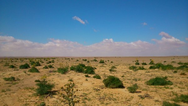 Пустыни Ирака