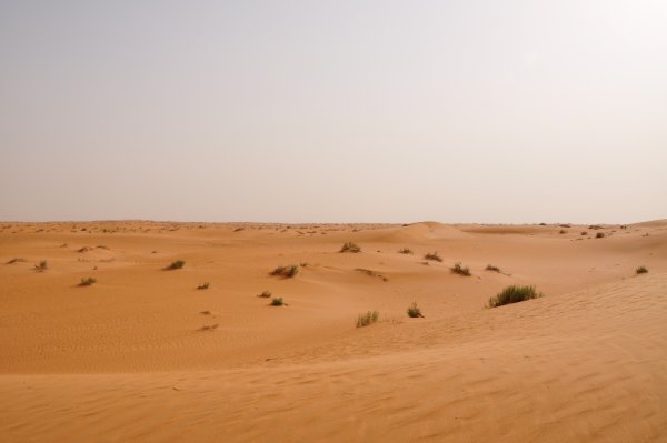 Иракская пустыня