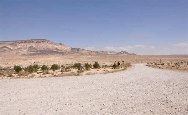 Пустыни Сирии