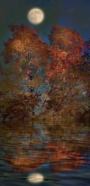 Доброго летнего вечера на природе