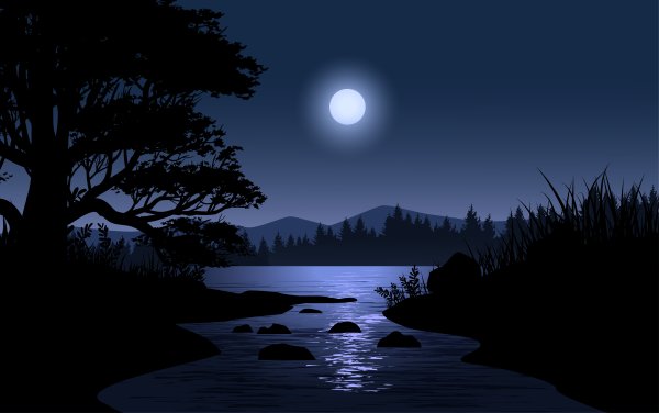 Ночь вектор красивые изображения