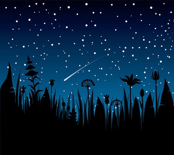 Ночное небо вектор