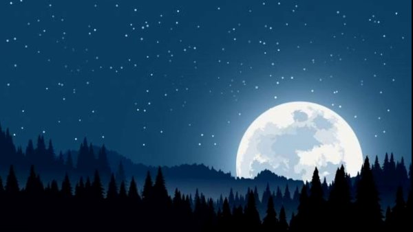 Ночной лес мультяшный