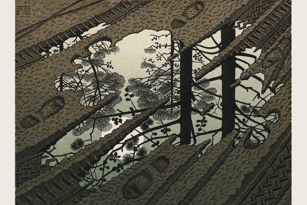 Мауриц Корнелис Эшер день и ночь