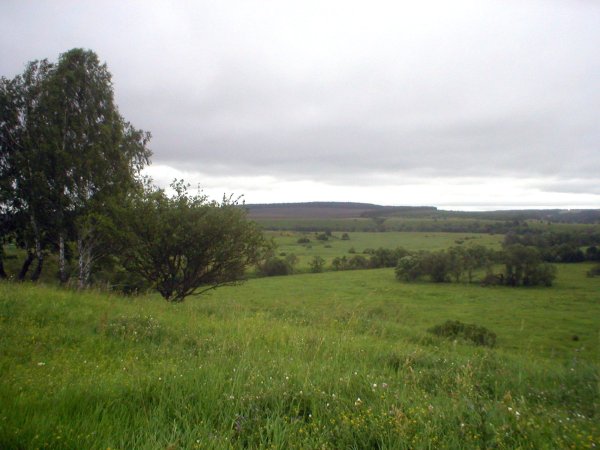 Пейзаж по Бежин луг