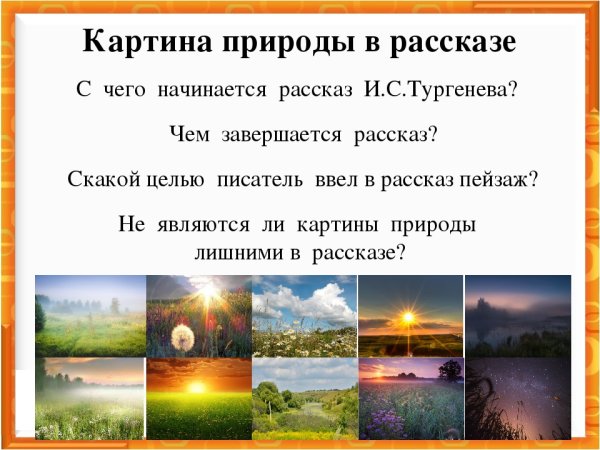 Роль картин природы в рассказе