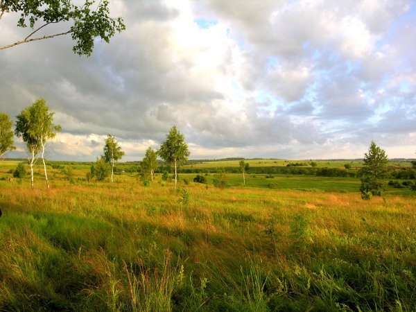 Пейзаж Бежин луг
