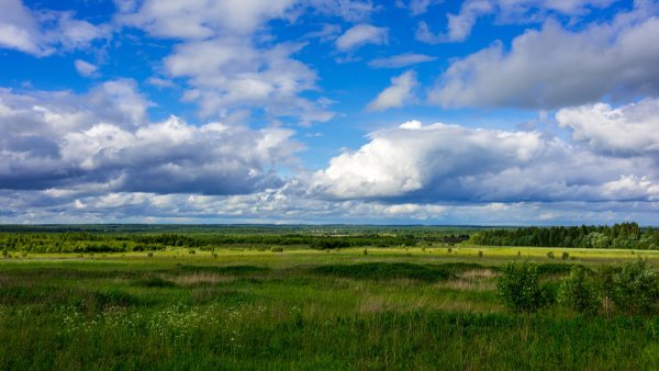Пейзажи в произведениях Тургенева