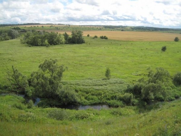 Утренняя Заря Бежин луг