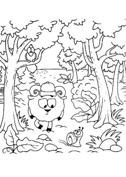 В лесу. Раскраска