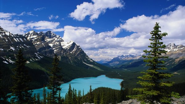 Фото 1200 300 пикселей