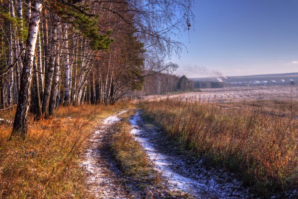 Удмуртия лес поздняя осень