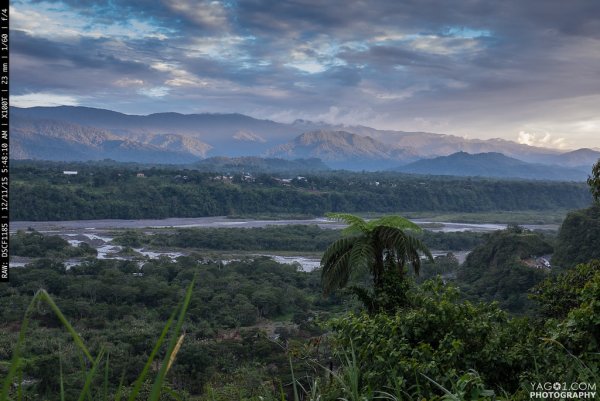 Эквадор джунгли амазонки
