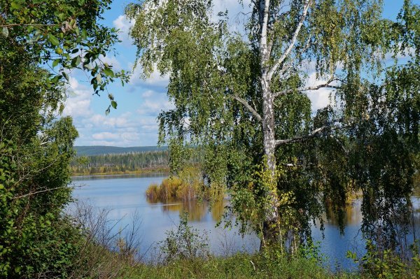 Ангарск природа