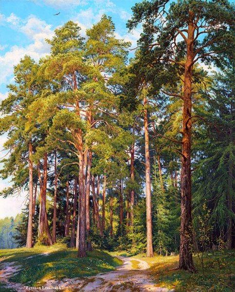 Лесные пейзажи Сергея Басова