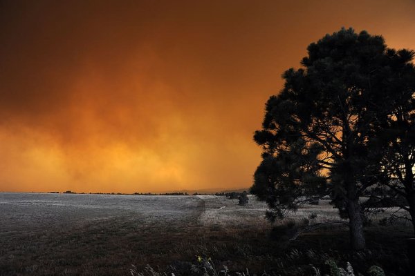 Free Fire пейзаж