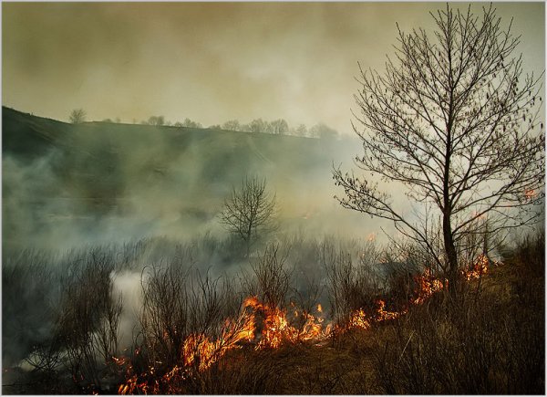 Родина в огне