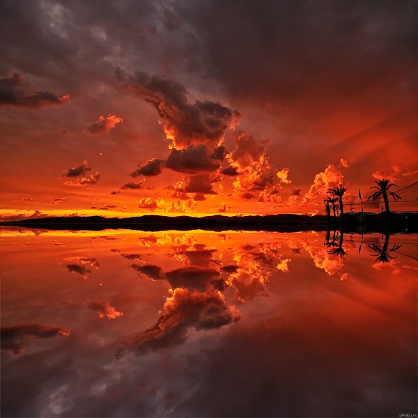 Огненный рассвет