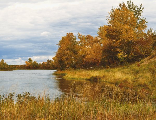 Река Ухра осень