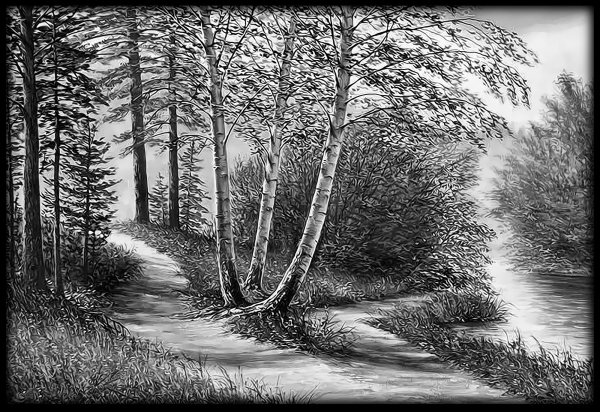 Рисунки природы