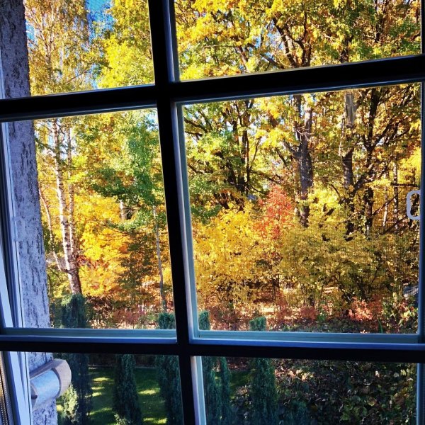 Осенний вид из окна