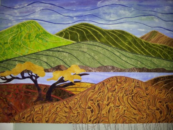 Кинусайга домики