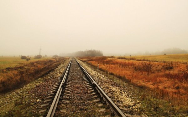 Рельсы в поле