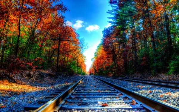 Железная дорога осень