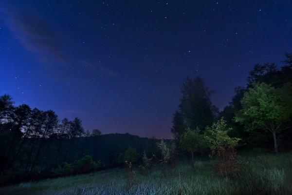 Ночное небо Бежин луг